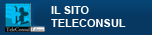 TELECONSUL